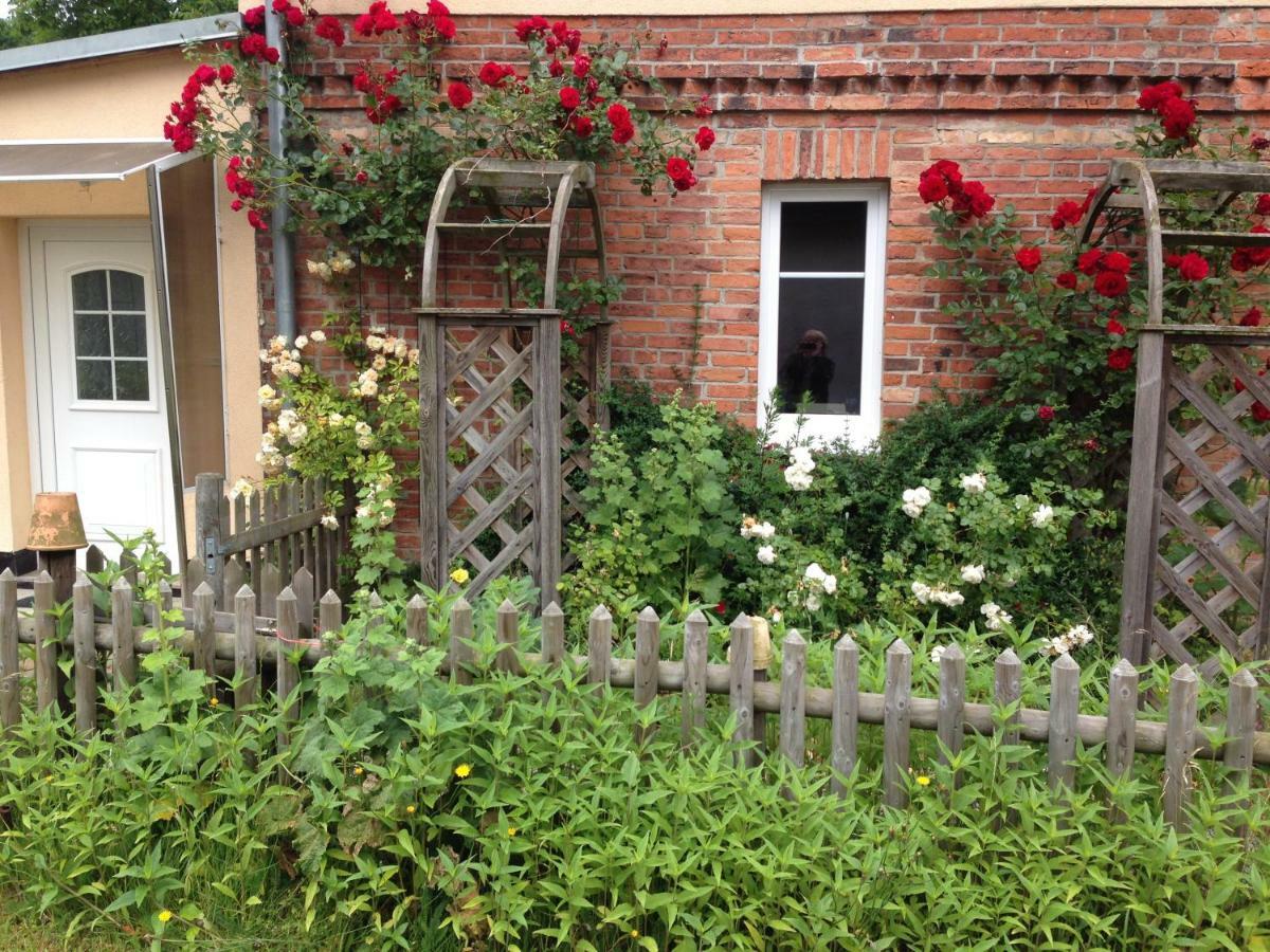 Landhaus Chlosta Buttelkow 外观 照片