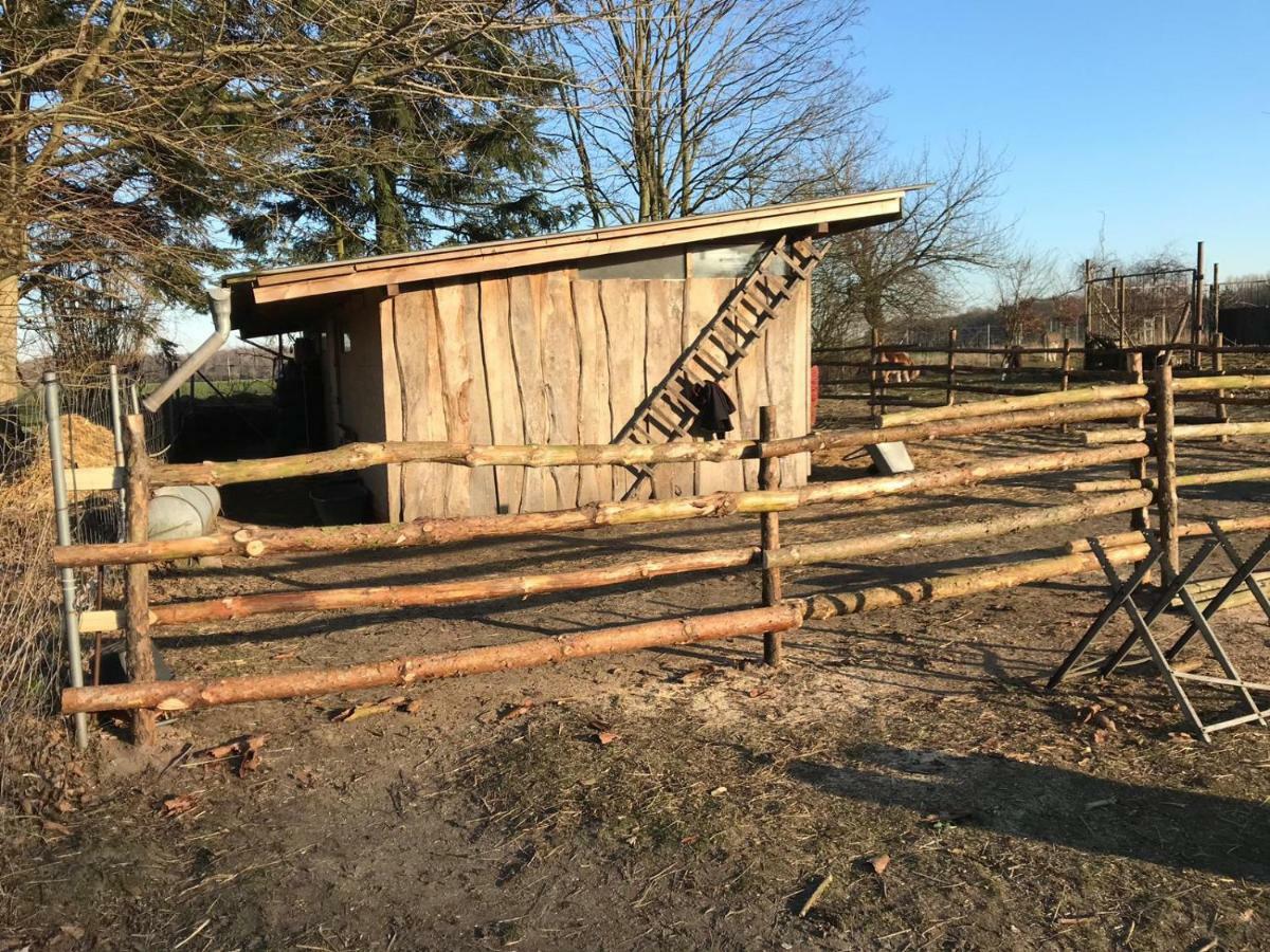 Landhaus Chlosta Buttelkow 外观 照片